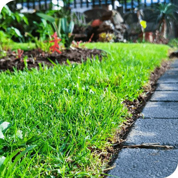 Image d'un jardin bien entretenu
