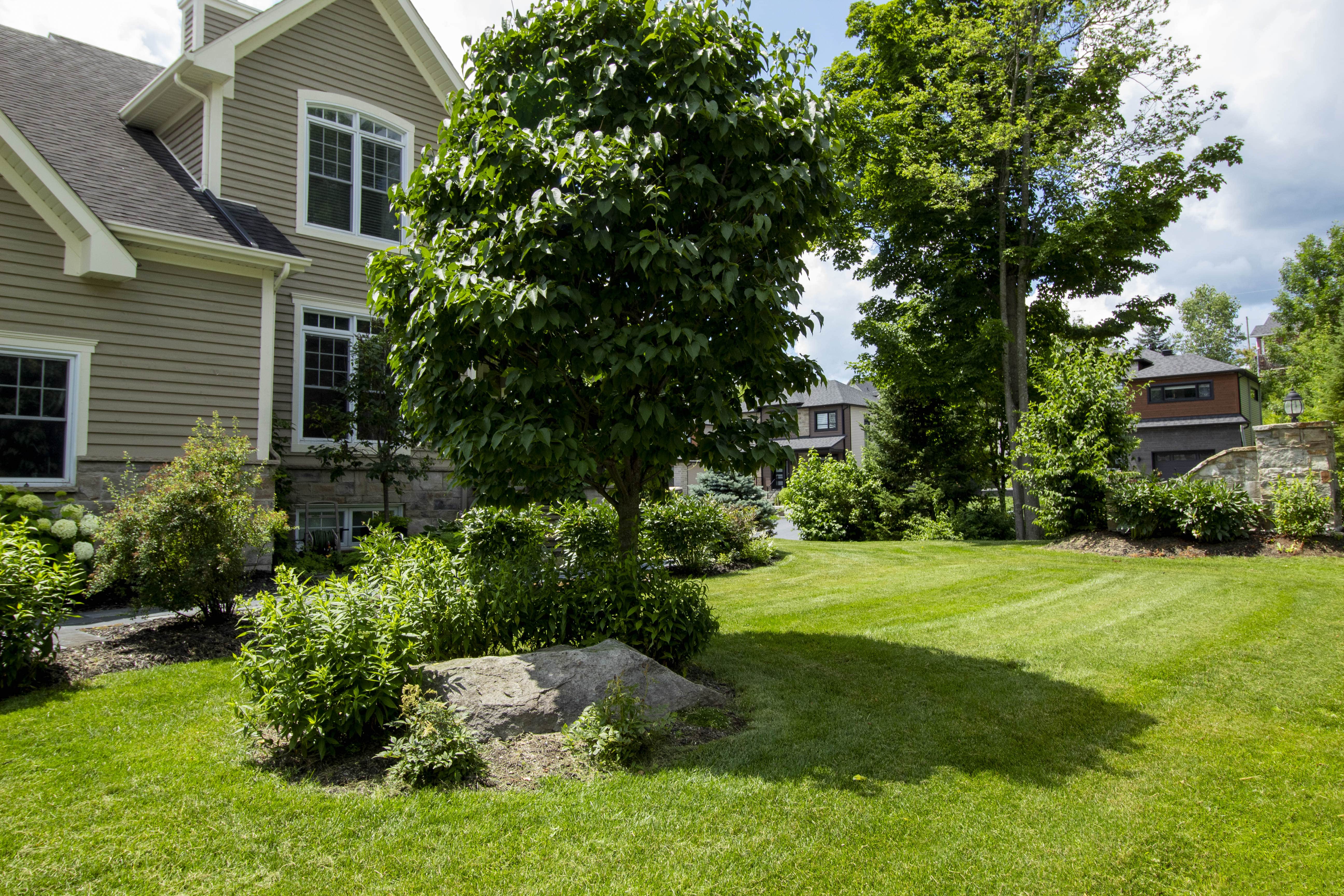 Jardin propre et bien entretenu après nettoyage de printemps